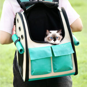 Takeaway Cat Out Bag