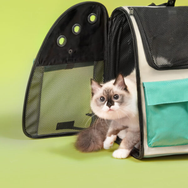 Takeaway Cat Out Bag Winter Pet Supplies - Image 2